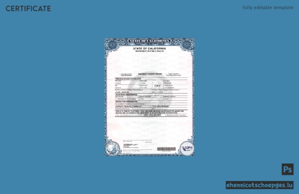 USA, Kalifornien: Änderung des Geburtsregisters (2 Seiten, Beispielvorschau)